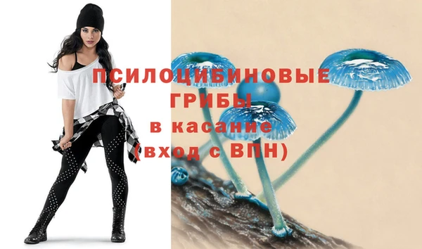 mdpv Алексин