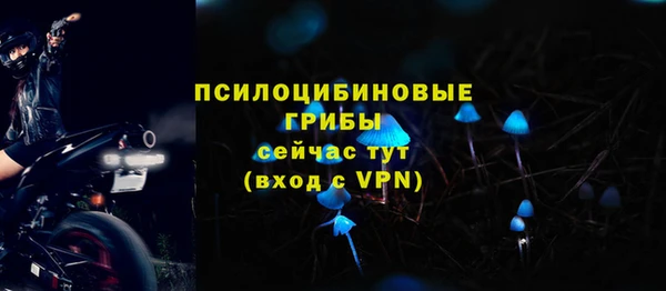 таблы Алзамай