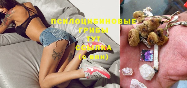 таблы Алзамай