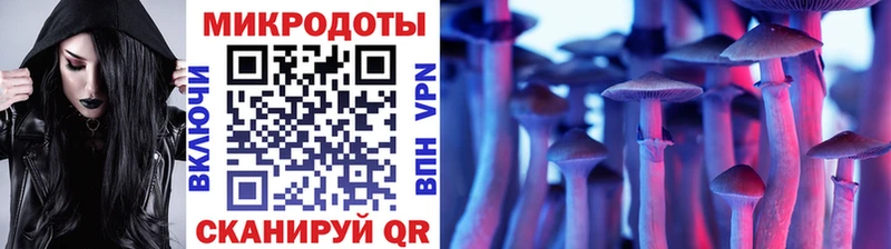 Галлюциногенные грибы Psilocybe  Сосновый Бор 