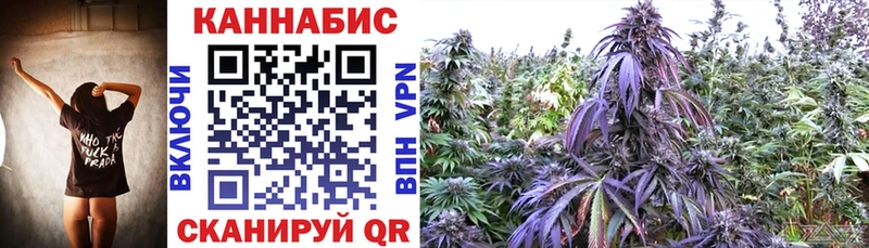 МАРИХУАНА индика Сосновый Бор