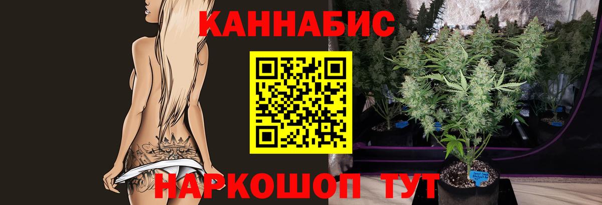 Бошки Шишки AK-47  Конопля THC 21%  Марихуана план  Конопля White Widow  Сосновый Бор  Вход с VPN 